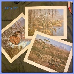 Vtg Wildlife Prints, 3